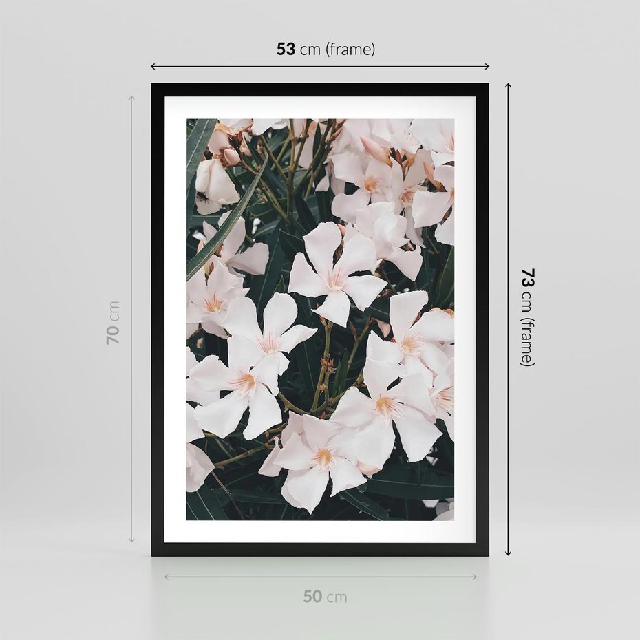 Plakat w ramie 50x70 - Egzotyczna Uroda - białe kwiaty, tropikalne kwiaty - rama czarna