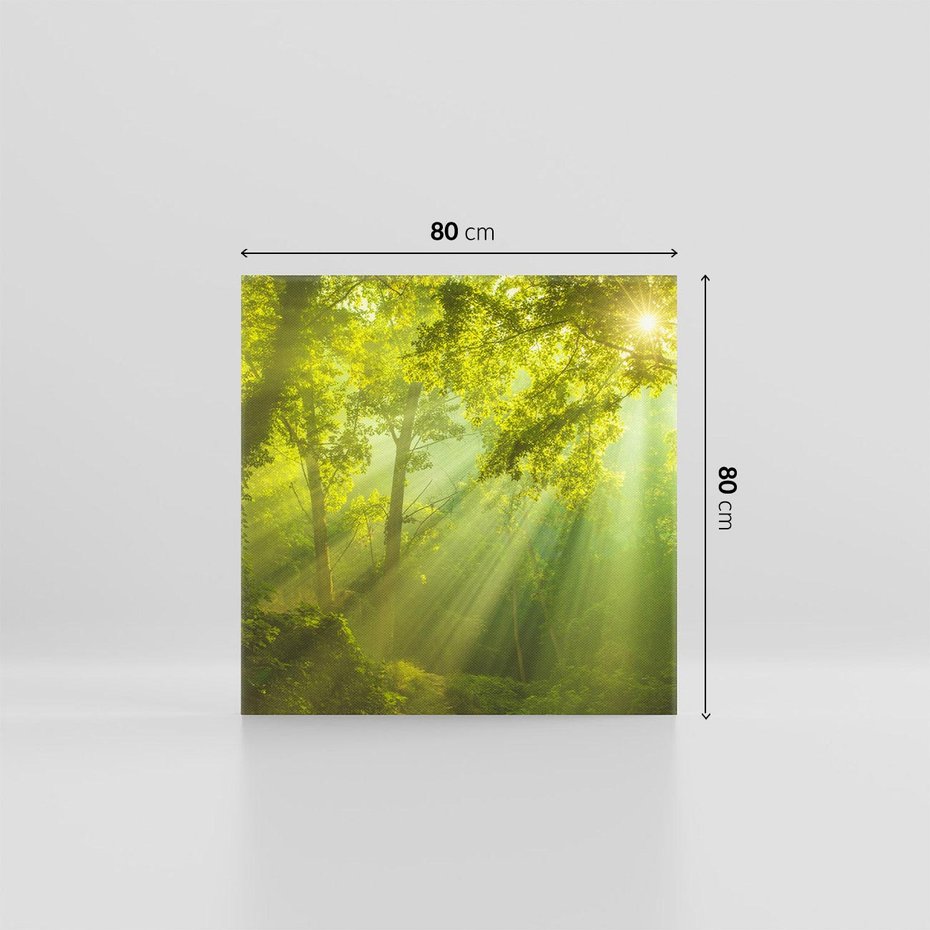 Obraz na płótnie 80x80 - drzewa w harmonii - las, drzewa