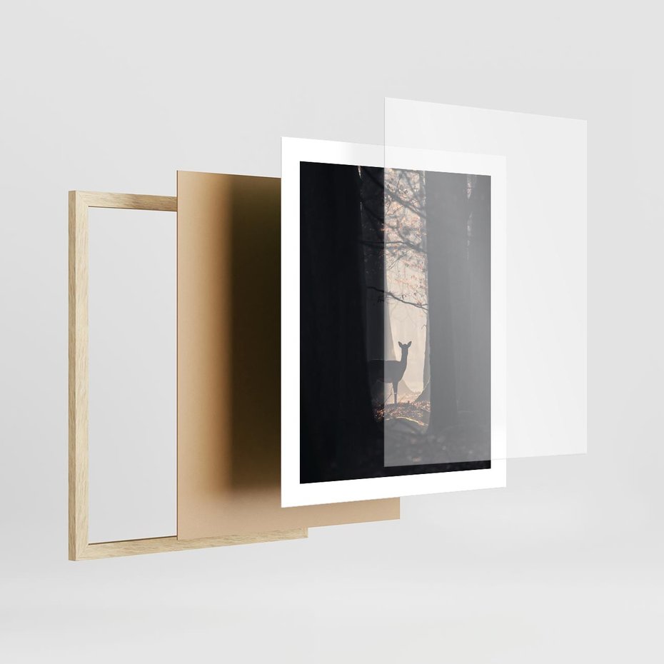 Plakat w ramie 40x50 - Sarnie Skoki - zdjęcie, klimatyczny las - rama drewno