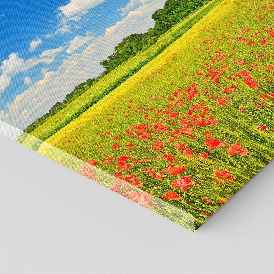 Obraz na płótnie 120x80 - Malownicze maki na łące - maki, łąka