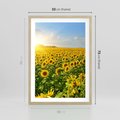 Plakat w ramie 50x70 - Idylla na łące słoneczników - łąka, słoneczniki - rama drewno