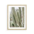 Plakat w ramie 30x40 - Duże Kaktusy w Pejzażu - kaktus, duże kaktusy na pustyni - rama drewno