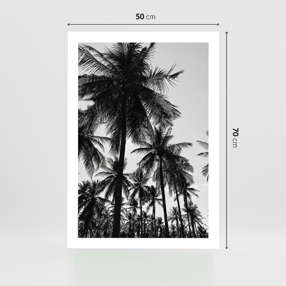 Plakat bez ramy 50x70 - Mono Tropiki - palmy, drzewa palmowe