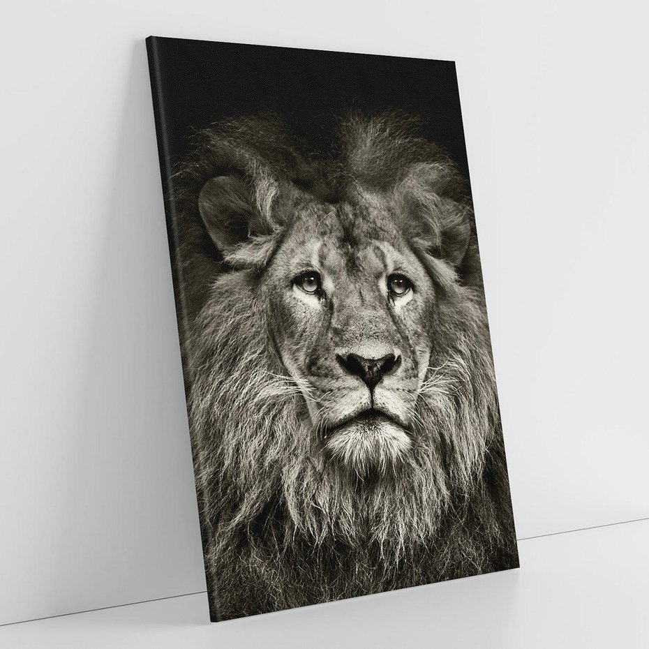 Obraz na płótnie 70x100 - Moc lewego spojrzenia - lew, czarno