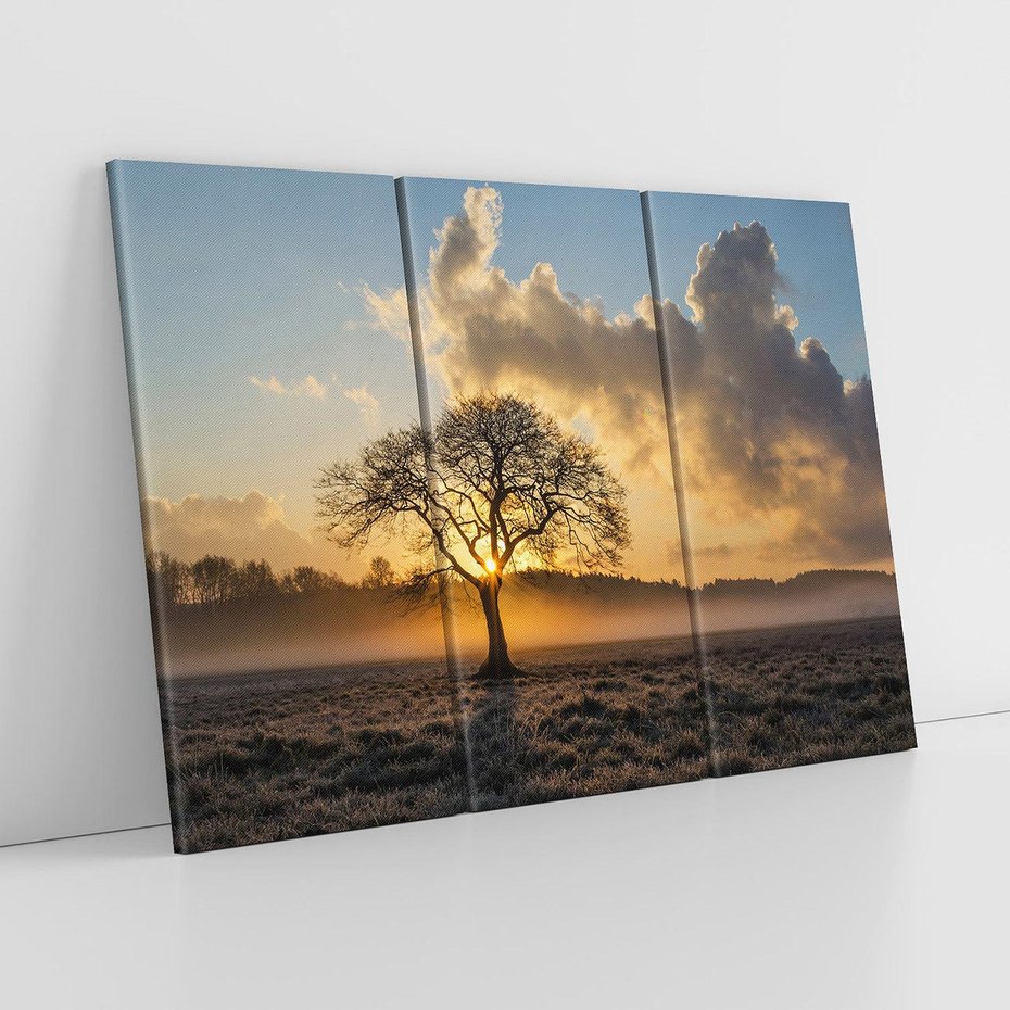 Obraz na płótnie 120x80 - Drzewo w mgle: Piękno jesiennego poranka - drzewo, mgła