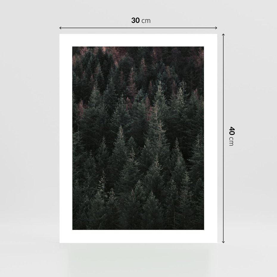 Plakat bez ramy 30x40 - Wysoko nad Iglastym Lasem - las, perspektywa