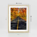 Plakat w ramie 30x40 - Droga przez jesienny las - droga, las - rama drewno