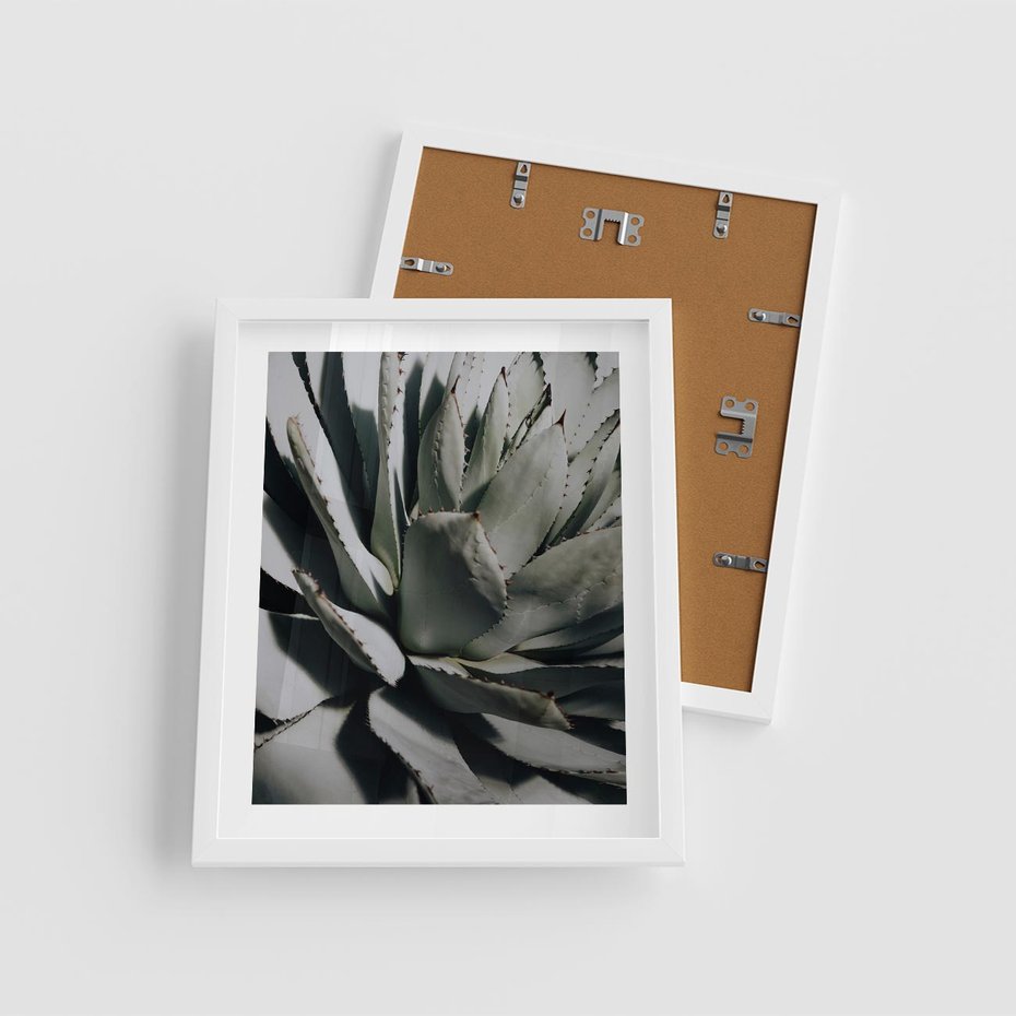 Plakat w ramie 40x50 - Sukulenty wśród kaktusów - sukulenty, kaktusy - rama biała