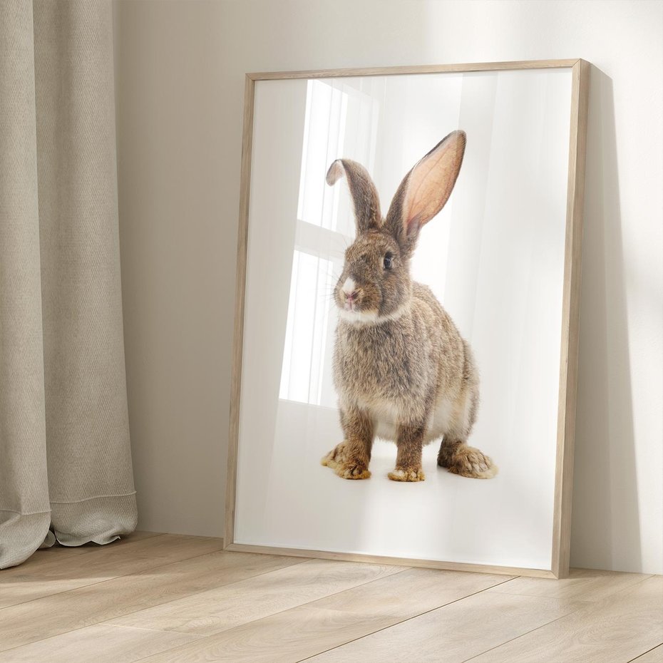 Plakat w ramie 40x50 - Delikatna Zwierzęca Uroda - królik, zwierzę - rama drewno