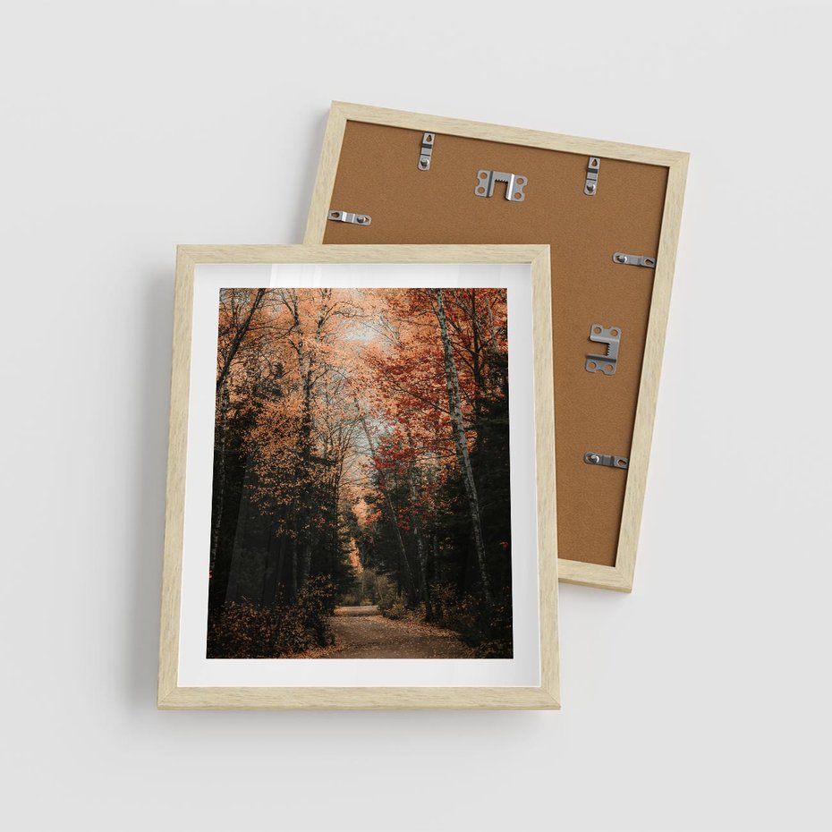Plakat w ramie 40x50 - Drzewa w Czerwonych Liściach - las, jesienny las - rama drewno