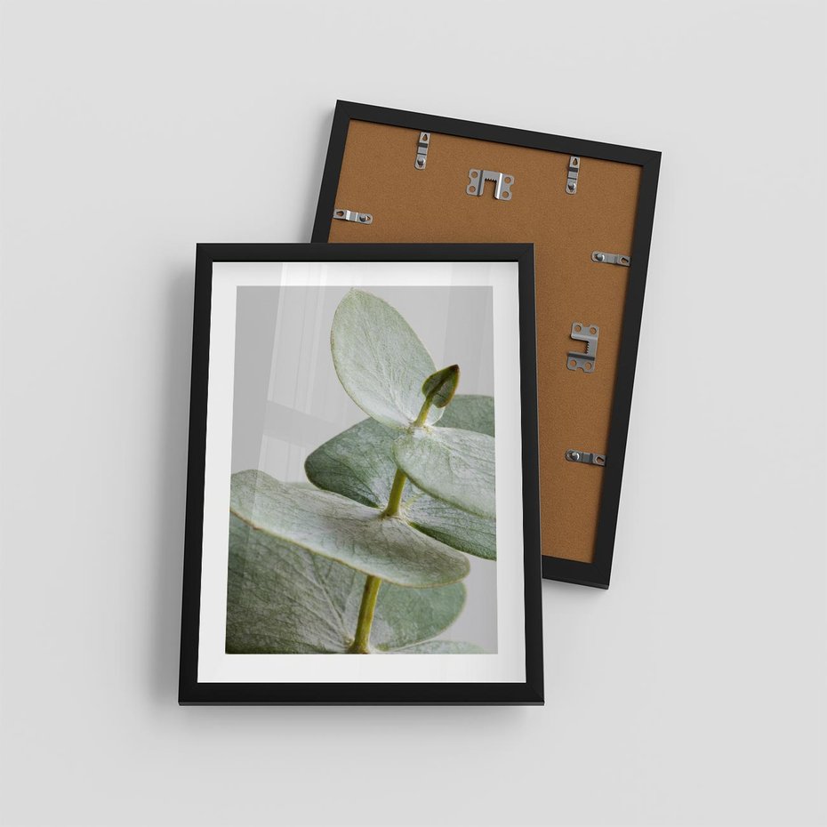 Plakat w ramie 30x40 - Eukaliptusowa zieleń - eukaliptus, zielone - rama czarna