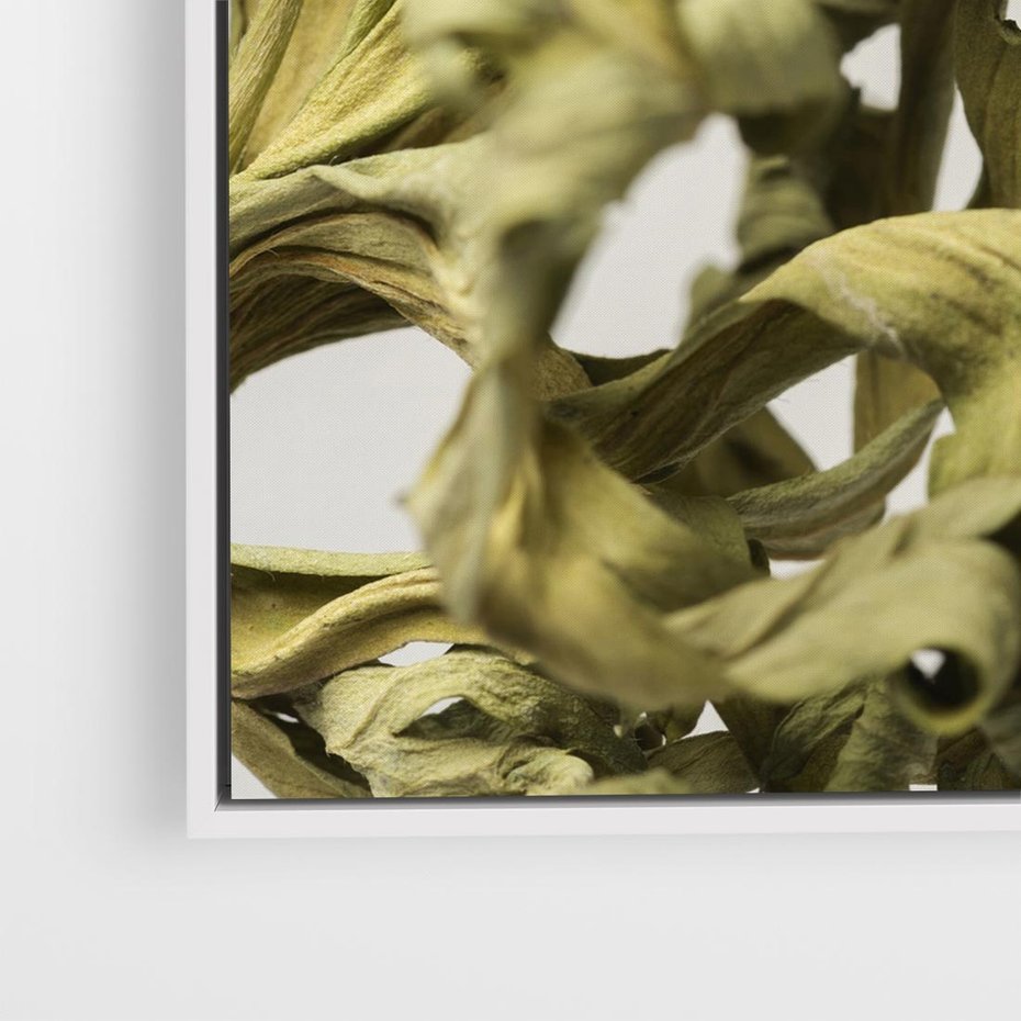 Obraz w ramie 80x80 - Odejście pory deszczowej - suche, trawy - rama biała