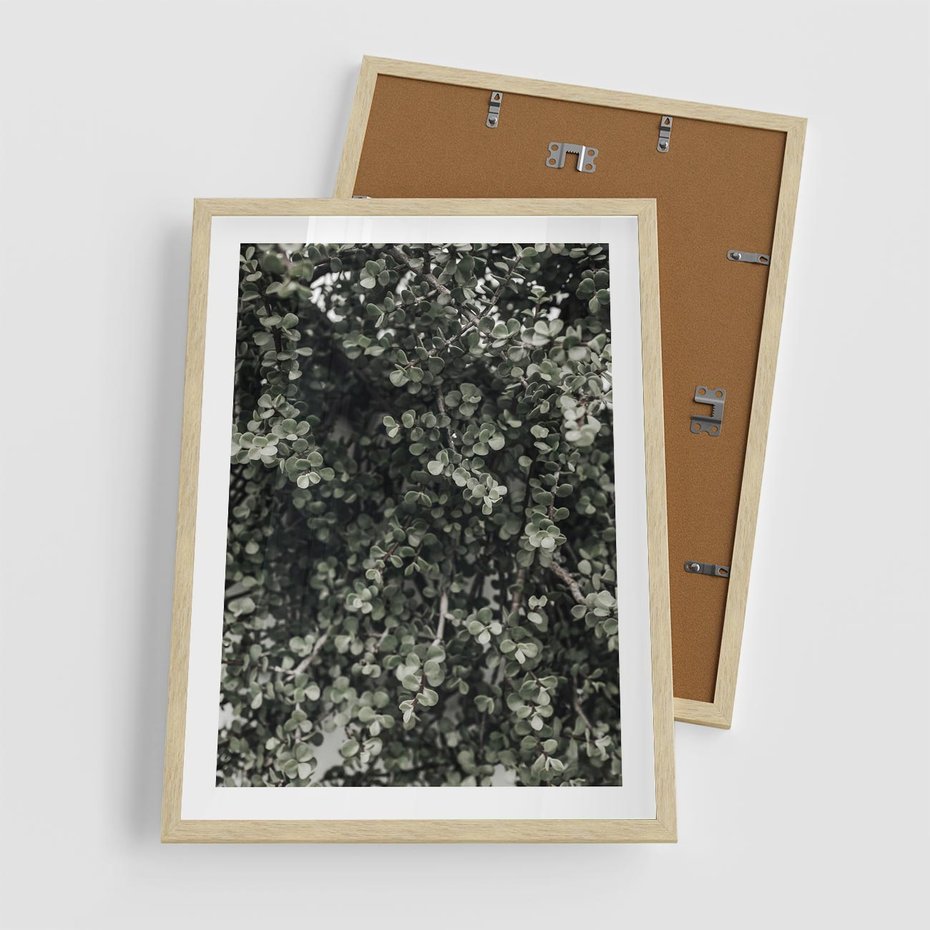 Plakat w ramie 50x70 - Jasnozielone Liście i Gałązki - liście, gałązki - rama drewno