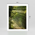 Plakat bez ramy 40x50 - harmonia natury - las, drzewa