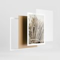 Plakat w ramie 50x70 - Letni Plon - zboże, kłosy zboża - rama biała