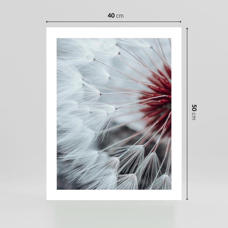 Plakat bez ramy 40x50 - Makro Magii Natury - dmuchawiec, zbliżenie makro