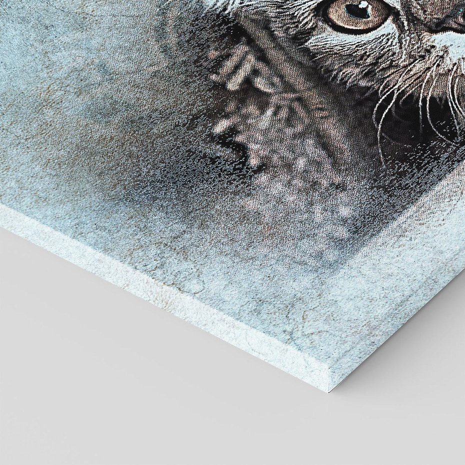 Obraz na płótnie 120x80 - Kot w abstrakcyjnym otoczeniu - kot, sztuka