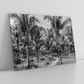 Obraz na płótnie 120x80 - Mroczna Ścieżka Tropików - czarno biała fotografia, ścieżka pośród palm