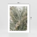 Plakat bez ramy 30x40 - Egzotyczny Świat Palm - palmy, liście palmy