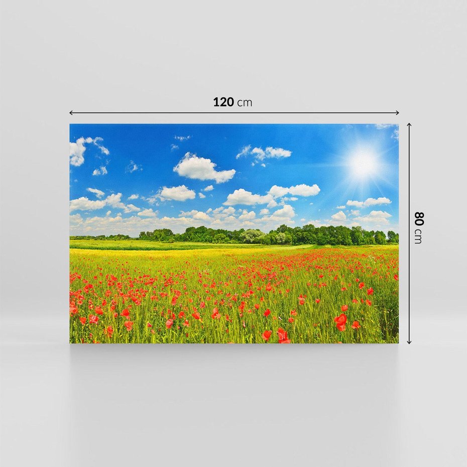 Obraz na płótnie 120x80 - Malownicze maki na łące - maki, łąka
