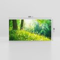 Obraz na płótnie 120x60 - Urok natury - magiczny las na płótnie - las, trawa