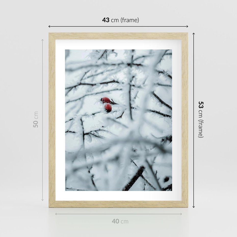Plakat w ramie 40x50 - Zima w Detalu: Gałęzie ze Szronem i Śniegiem - śnieg, zima - rama drewno