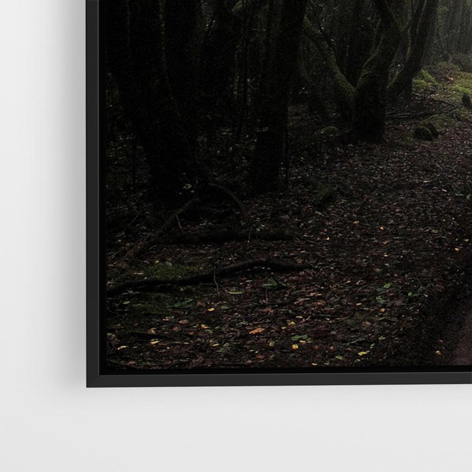 Obraz w ramie 100x70 - Urok Drogi - las, droga - rama czarna