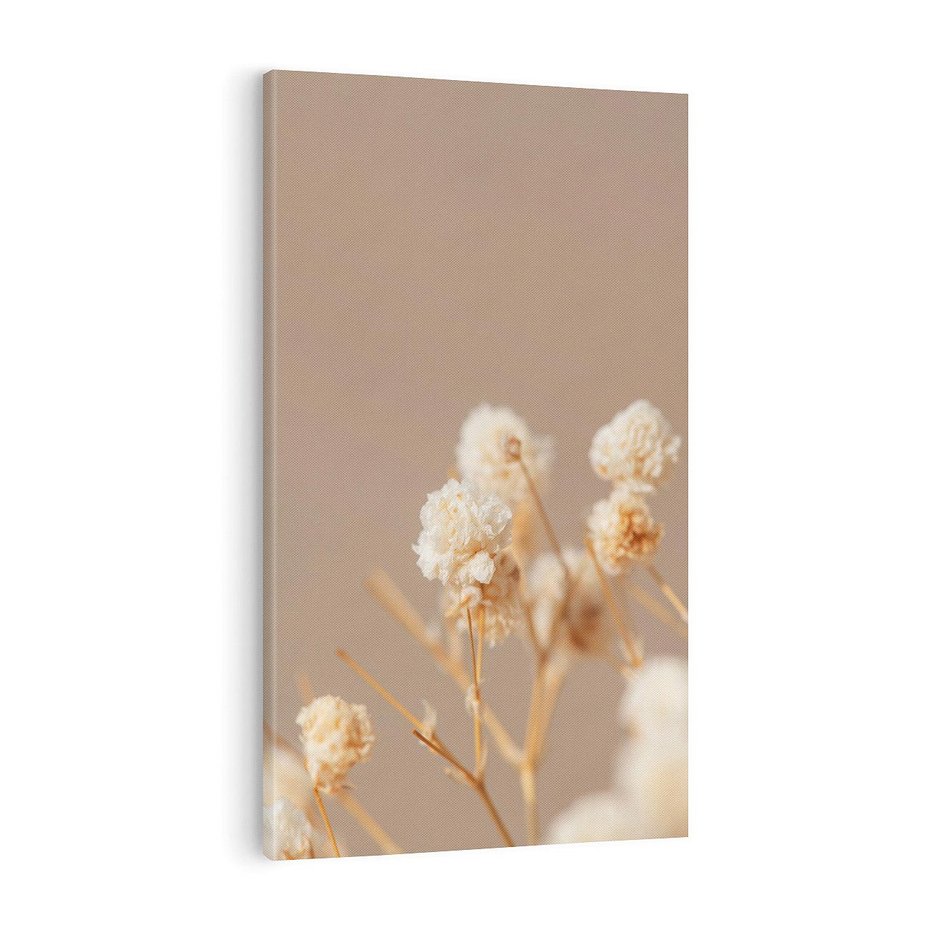 Obraz na płótnie 50x70 - Przezroczyste piękno - gipsówka, suche