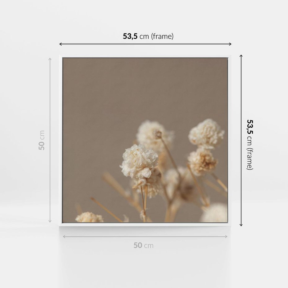 Obraz w ramie 50x50 - Przezroczyste piękno - gipsówka, suche - rama biała