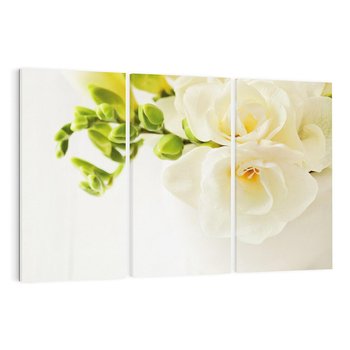 Obraz na płótnie 120x80 - Subtelność białych frezji - frezja, białe