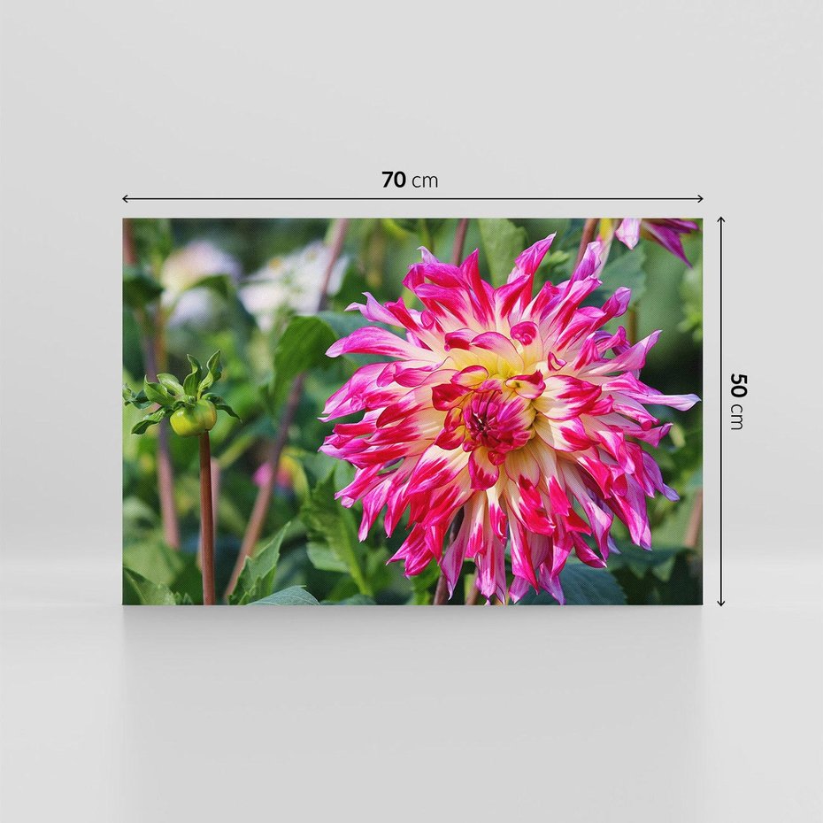 Obraz na płótnie 70x50 - Kwiatowe impresje natury - kwiat, kwiaty