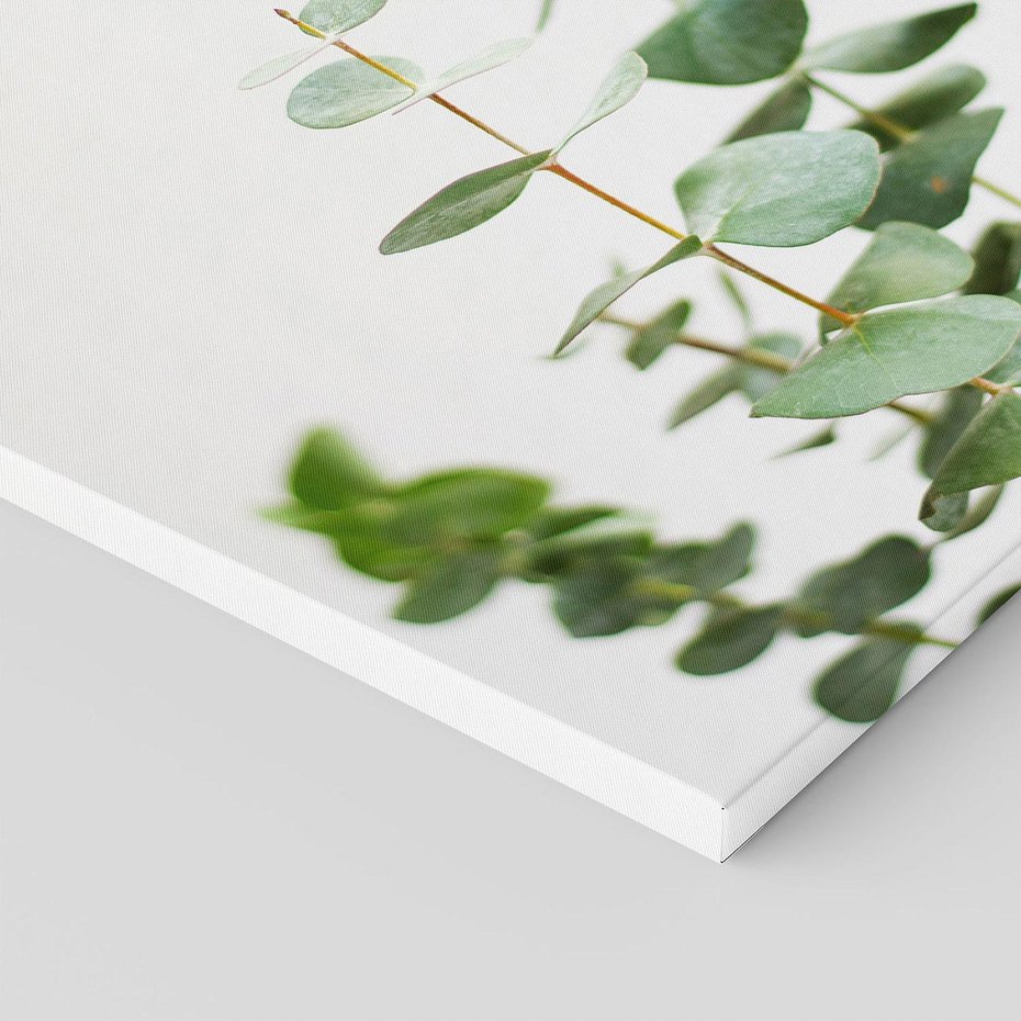 Obraz na płótnie 40x40 - Żywa eukaliptusowa zieleń - eukaliptus, zielone