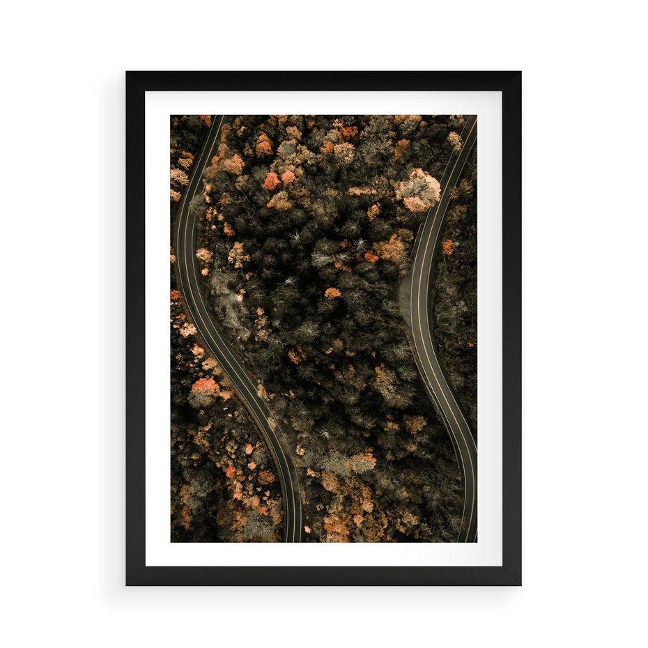 Plakat w ramie 50x70 - Las i Droga w Kolorach Jesieni - droga, ujęcie z góry - rama czarna