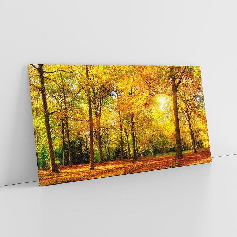 Obraz na płótnie 140x70 - Urok jesiennego lasu - las, drzewa