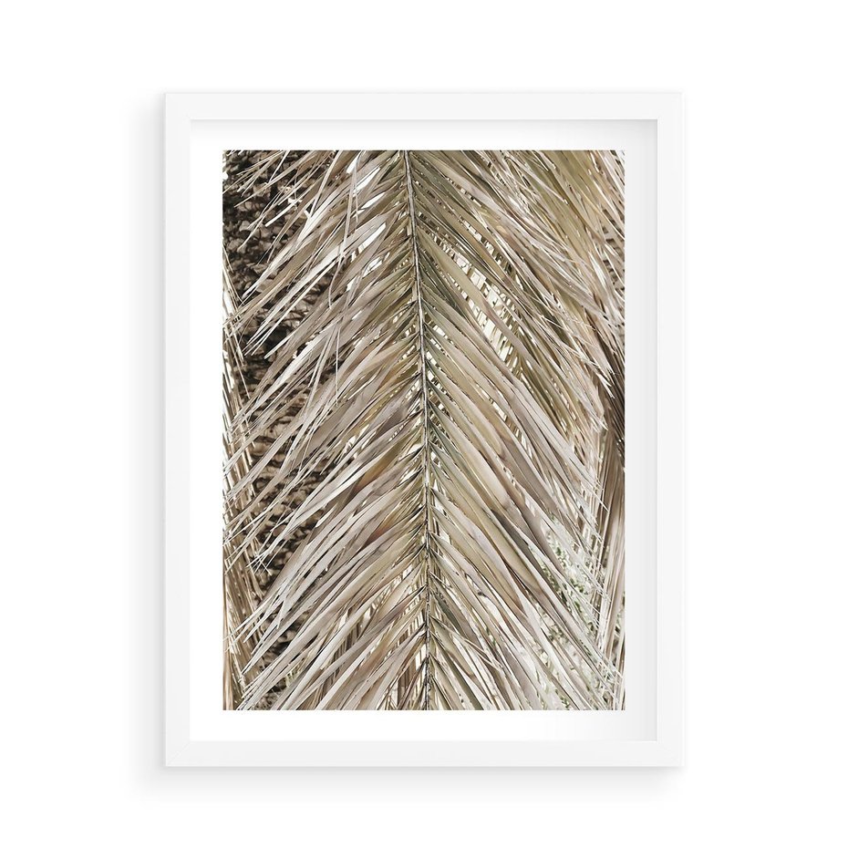 Plakat w ramie 50x70 - Boho Urok Palmy: Zbliżenie Natury - sucha palma, zbliżenie - rama biała