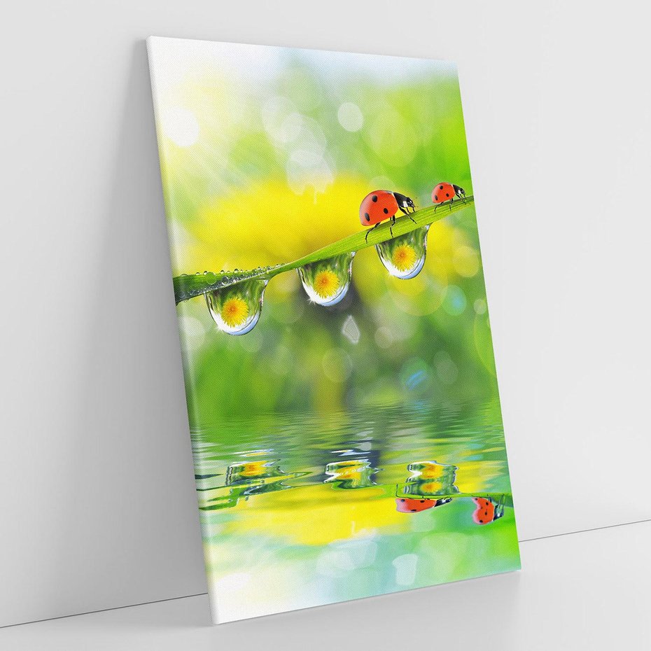 Obraz na płótnie 50x70 - Deszczowa Biedronka - biedronka, deszcz