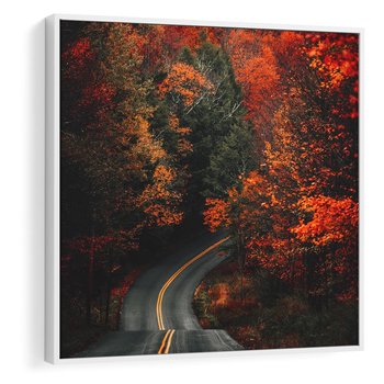 Obraz w ramie 80x80 - Jesienne Podróżowanie - fotografia, jesień - rama biała