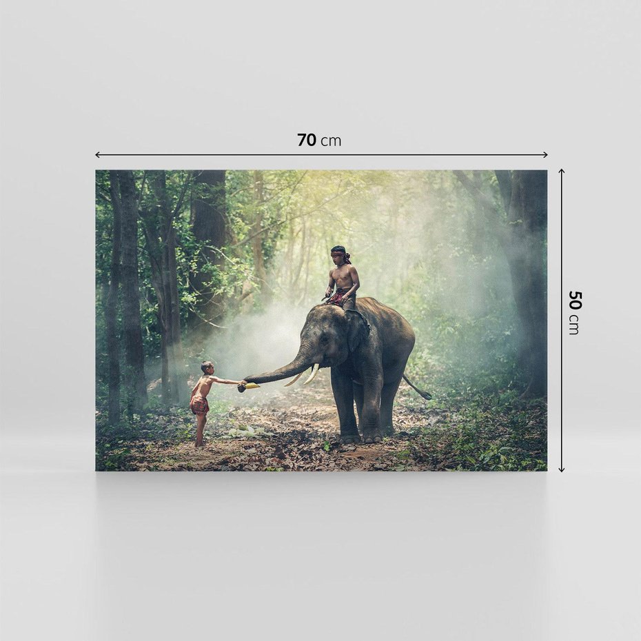 Obraz na płótnie 70x50 - Azja słońce wśród lasu - Azja, słoń