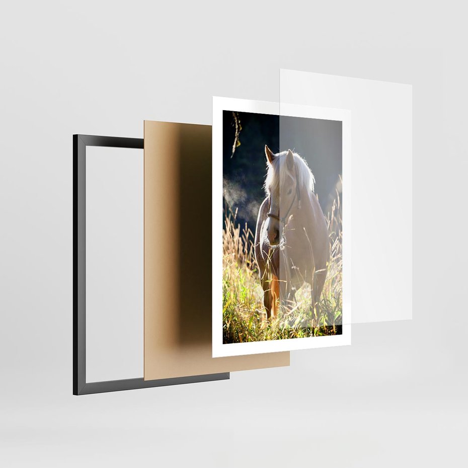 Plakat w ramie 50x70 - Spotkanie konia na łące - koń, łąka - rama czarna