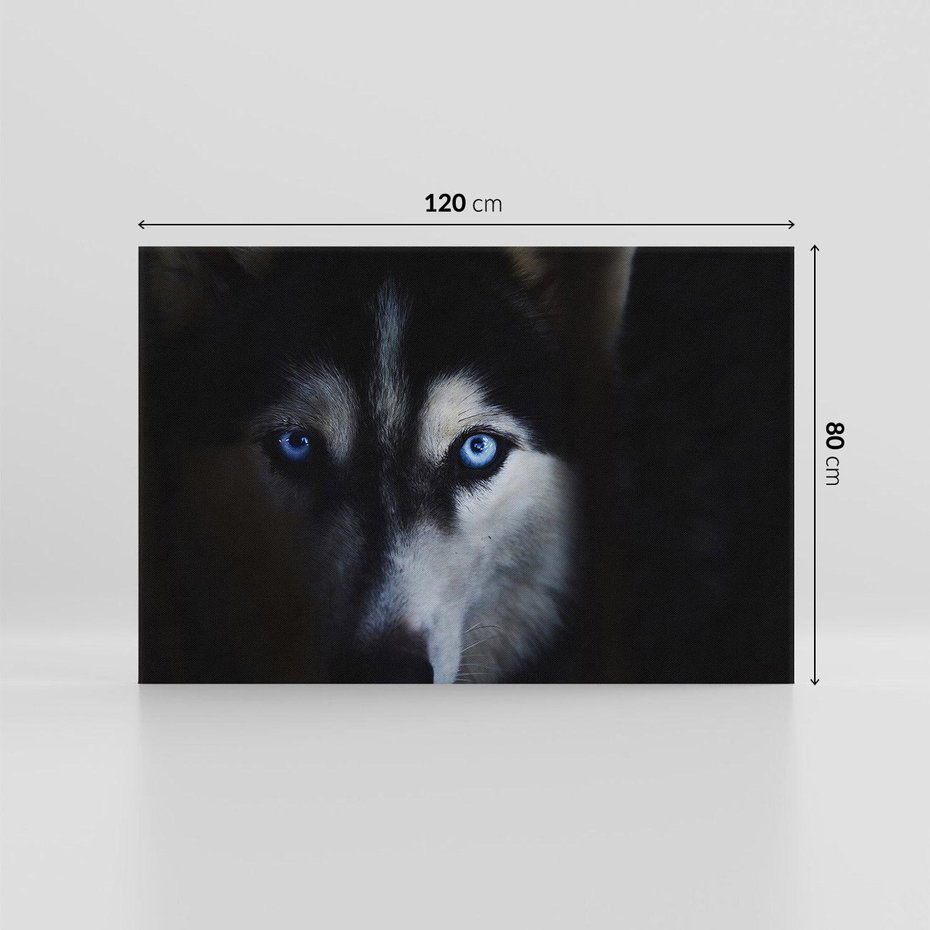 Obraz na płótnie 120x80 - Wilk i husky: siła przyjaźni - wilk, husky