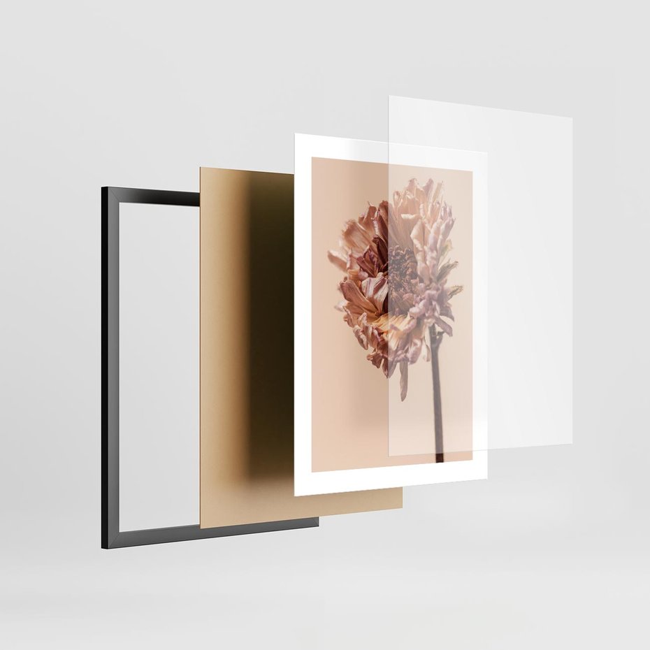 Plakat w ramie 30x40 - Delikatne piękno - suche, kwiaty - rama czarna