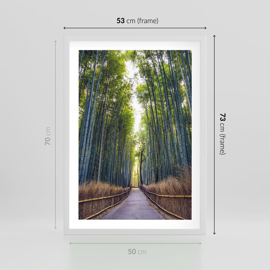 Plakat w ramie 50x70 - Urokliwa dróżka w lesie - las, dróżka - rama biała
