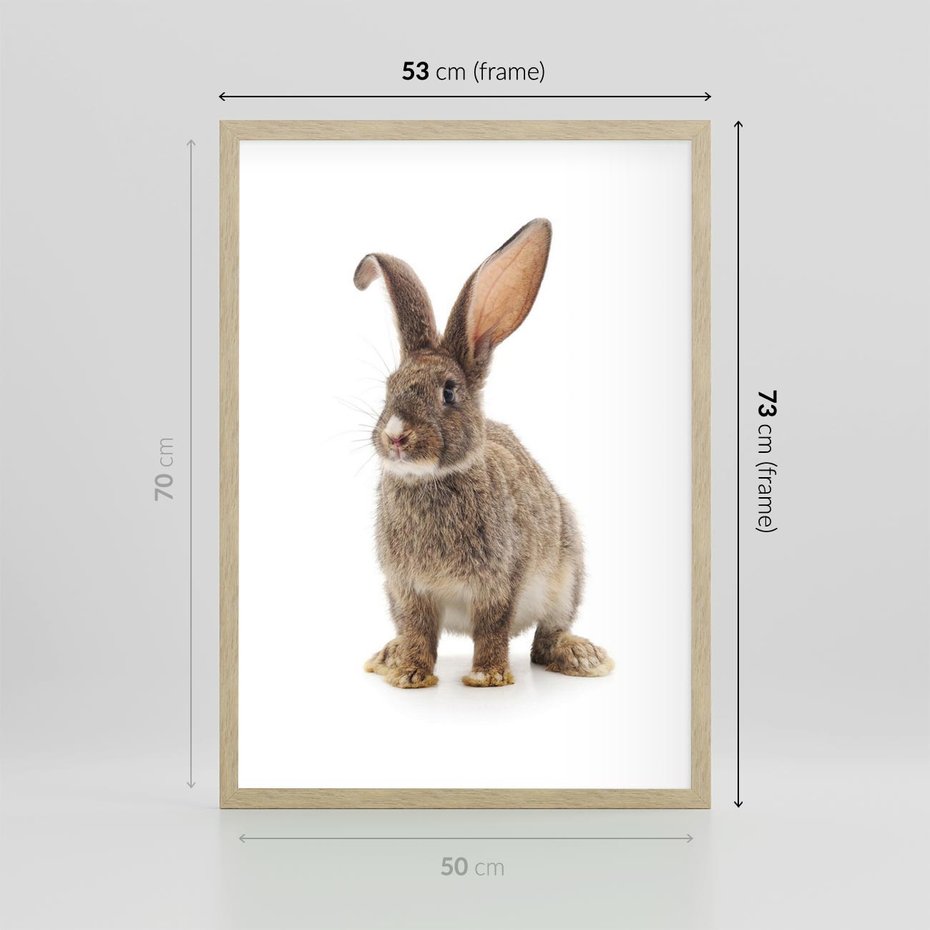 Plakat w ramie 50x70 - Delikatna Zwierzęca Uroda - królik, zwierzę - rama drewno