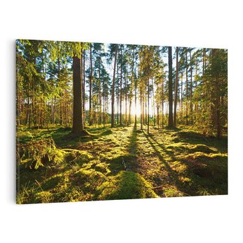 Obraz na płótnie 100x70 - Obfitość natury - las, drzewa