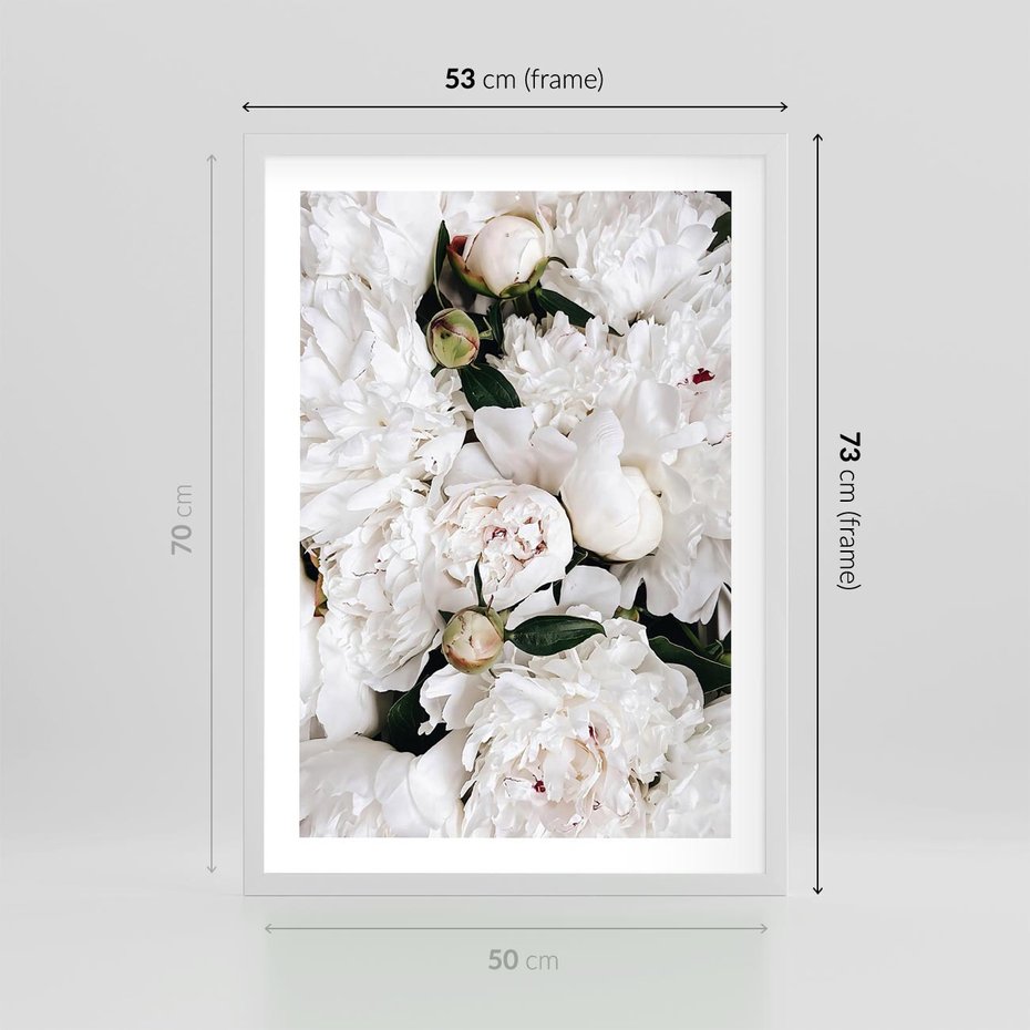 Plakat w ramie 50x70 - Modne Białe Kwiaty - białe kwiaty, płatki - rama biała