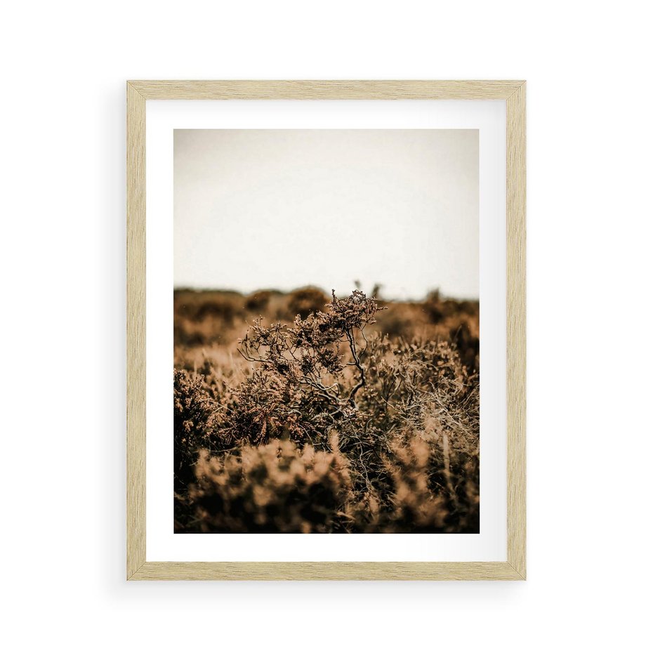 Plakat w ramie 40x50 - Krajobraz W Naturze: Beże i Brązy - suche krzewy, natura - rama drewno