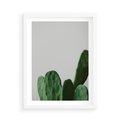 Plakat w ramie 50x70 - Majestatyczne Wysokości - kaktusy, liście - rama biała