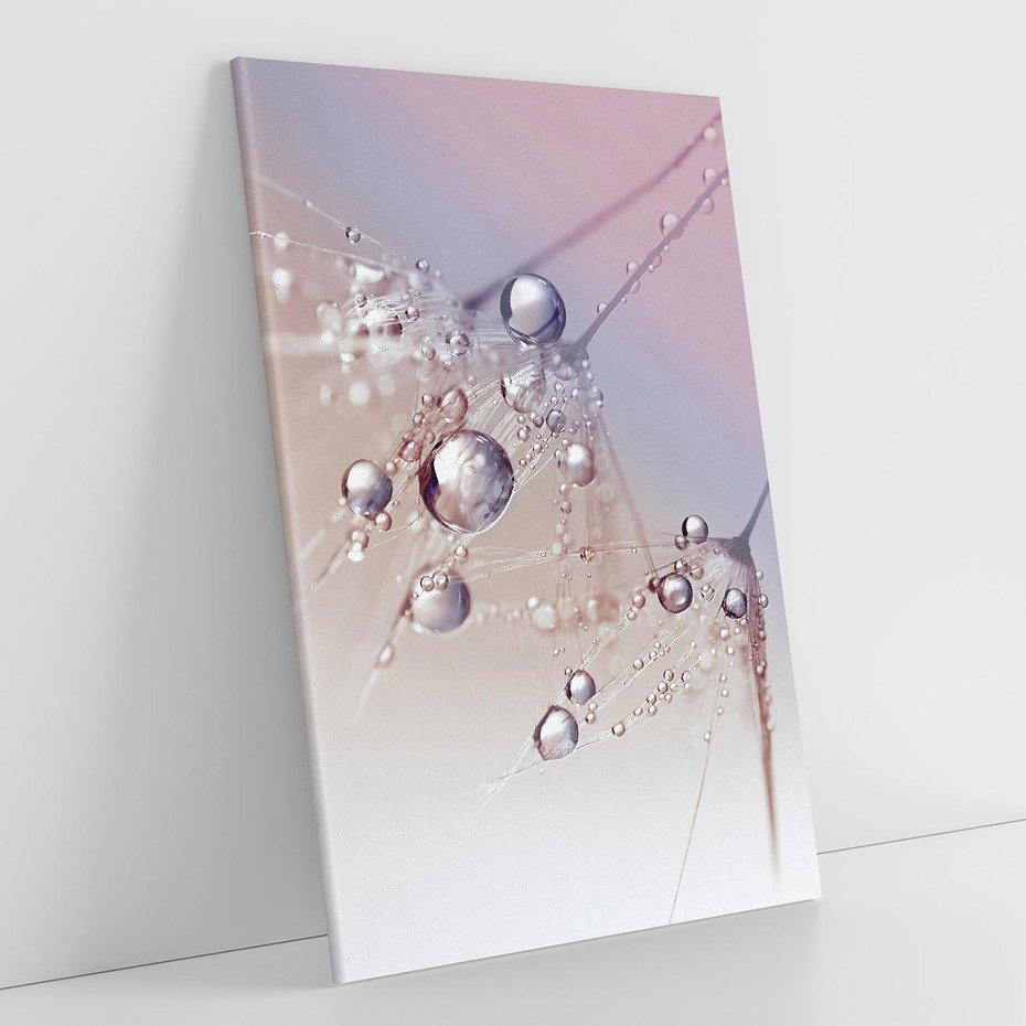 Obraz na płótnie 80x120 - Delikatne Natchnienie - krople, dmuchawce