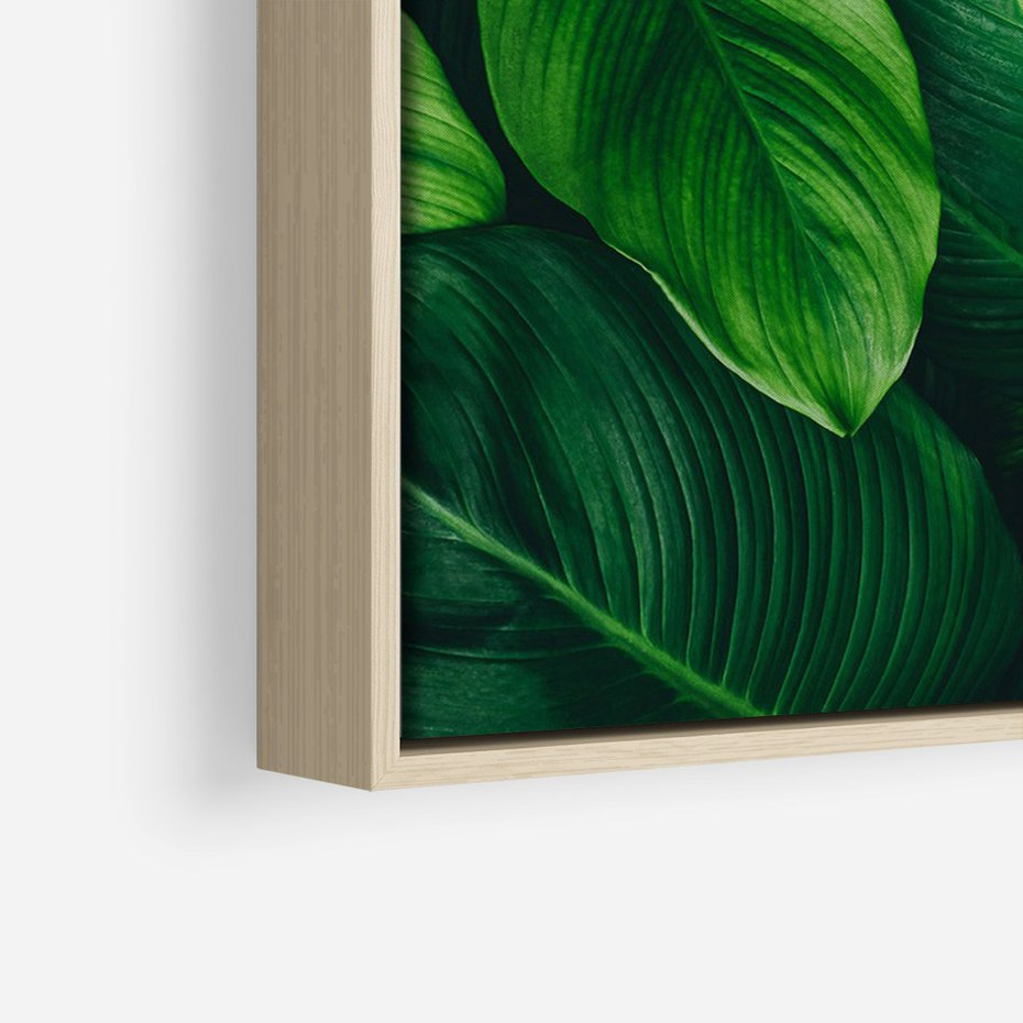 Obraz w ramie 80x120 - Palma Liście Kwiat - palma, liście - rama drewno