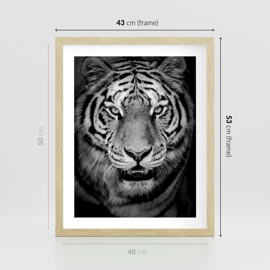 Plakat w ramie 40x50 - Tygrys Czarno-Biały: Siła i Delikatność - tygrys, czarno - rama drewno